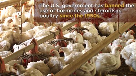 are factory chickens fed hormones in other countries